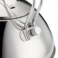 Tea Kettle CHANMOL 50oz Stainless Steel Tea Pot with Infuser Filter Arc Handle ,Best Polished Espresso Coffee... N5