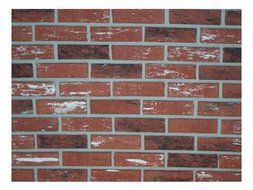 5/Pack Zygrove Corp Inca Z-Brick Facing Brick