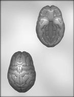 CK Products 4-Inch 3-D Brain Chocolate Mold