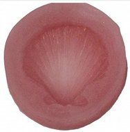 Oasis Supply Small Seashell Mold, Silicone