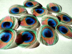 48 round very small 1&quot; Feather Green Edible Decorative Wafer Paper Peacock Feathers &copy; Wedding Cake Cupcake Toppers N2
