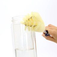 NATIONALMATER Bottle Cleaning Brushes, Cleaning Brush, Cleaner for Narrow Neck Bottles Cups with Hook, Set of 10 N21