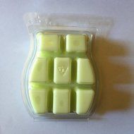 Scentsy Serene Green Wax 3.2oz Warmer Bar Rare and Retired N2