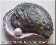 Scott Clark Woolley Oyster Shell Silicone Mold N2
