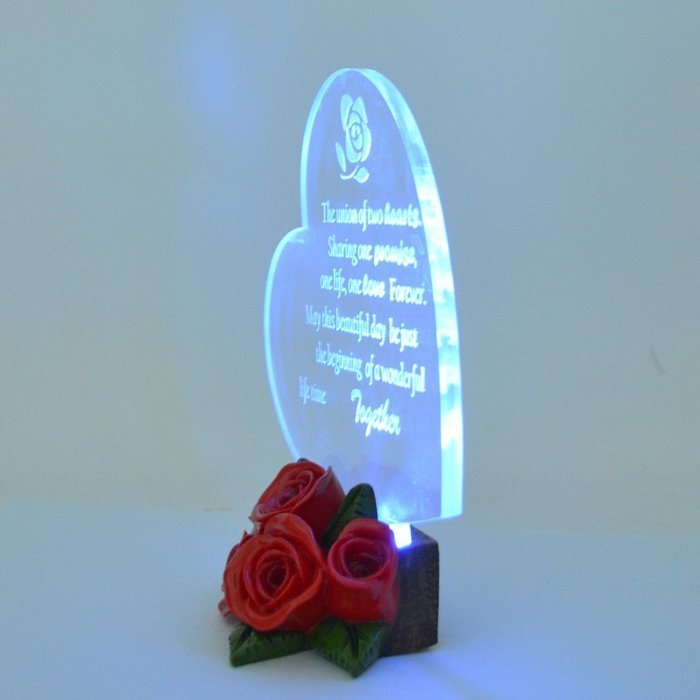 Gift Garden Heart Shaped LED Light N24