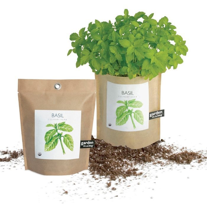 Potting Shed Creations Garden in a Bag - Basil