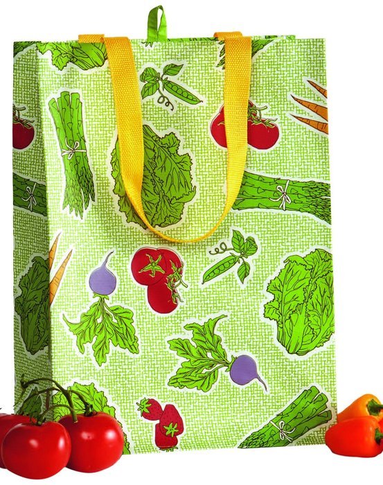 DII Reusable Shopping Bag, For Farmers Markets, Grocery Shopping, Crafts, Travel, Sewing & Everyday Use, Set of... N5