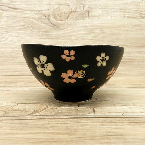 Ghibli My Neighbor Totoro Mino ware bowl From Japan New