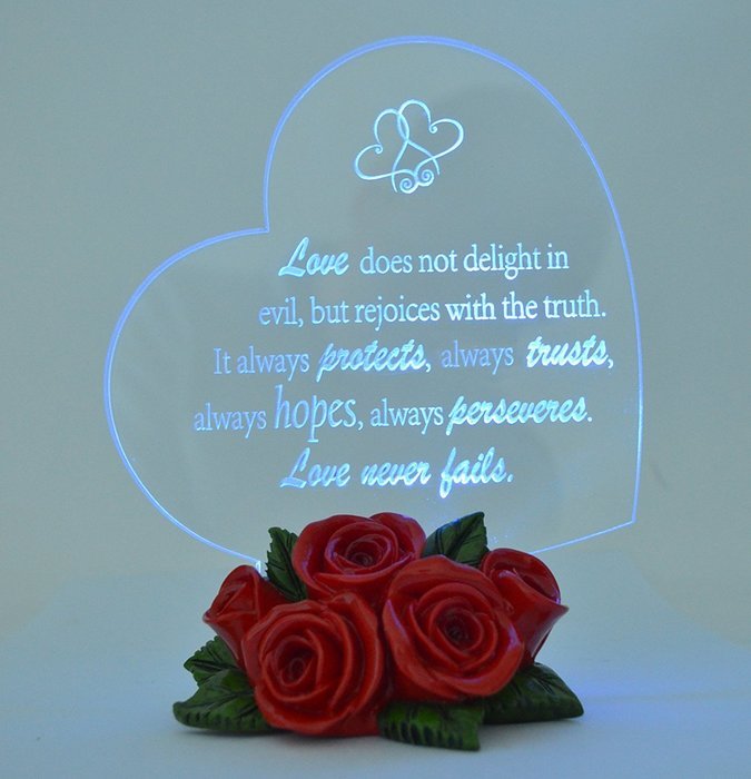 Gift Garden Heart Shaped LED Light N31