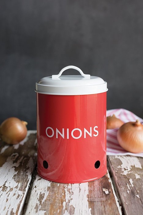 Now Designs Onion Tin, Ivory N2