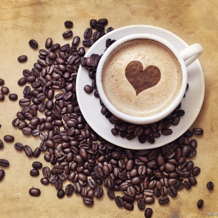 Sealike 16 Pcs Coffee Barista Stencils Template Cappuccino Art Stencils Strew Pad Spray with Stylus N2