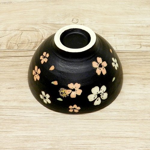 Ghibli My Neighbor Totoro Mino ware bowl From Japan New N7