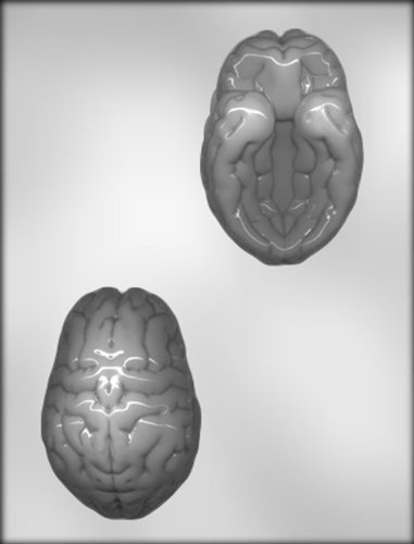 CK Products 4-Inch 3-D Brain Chocolate Mold