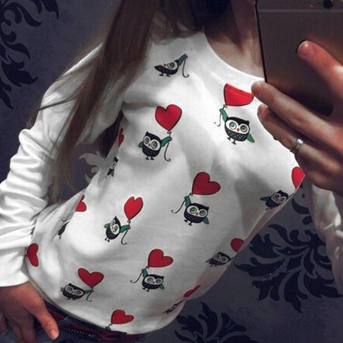 Blouse,Morecome Women Long Sleeve Cute Owl Print T-Shirt Tops Casual Blouse N19