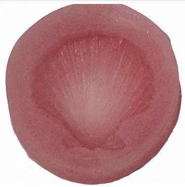 Oasis Supply Small Seashell Mold, Silicone