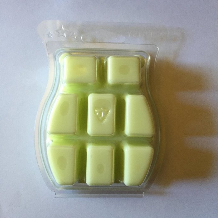 Scentsy Serene Green Wax 3.2oz Warmer Bar Rare and Retired N2