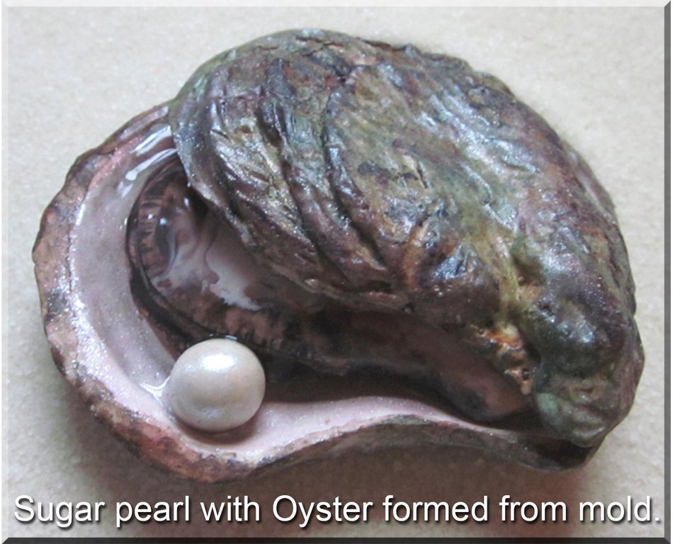 Scott Clark Woolley Oyster Shell Silicone Mold N2