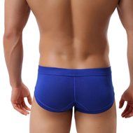 Underswear Laimeng,Trunks Sexy Underwear Men Men's Boxer Briefs Shorts Bulge Pouch soft Underpants (L, Blue) N11