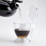 BonJour 46576 Plastic Coffee and Tea Smart Brewer, 19.5 oz, Clear N3