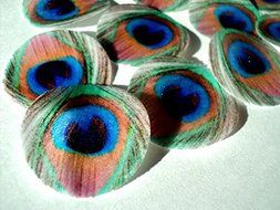 48 round very small 1&quot; Feather Green Edible Decorative Wafer Paper Peacock Feathers &copy; Wedding Cake Cupcake Toppers N4