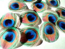 48 round very small 1&quot; Feather Green Edible Decorative Wafer Paper Peacock Feathers &copy; Wedding Cake Cupcake Toppers N5