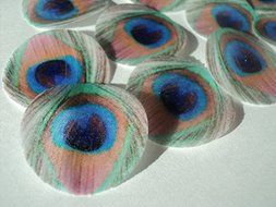 48 round very small 1&quot; Feather Green Edible Decorative Wafer Paper Peacock Feathers &copy; Wedding Cake Cupcake Toppers N6