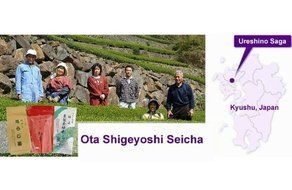Tokyo Matcha Selection Tea - OTA TEA : [Daily Grade] Ureshino Tamaryokucha-Guricha 200g (7.05oz) from Saga Japan... N5