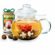 Primula Blossom Glass Teapot &ndash; Wide Mouthed Borosilicate Glass &ndash; 40 oz. &ndash; Dishwasher and Microwave Safe &ndash; Clear... N12