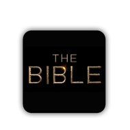 Generic Kawaii Mdf Material Cup Coaster Print Bible N2
