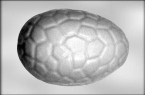 CK Products 9-1/4" Cracked Egg Choc Mold