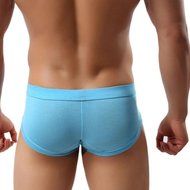 Underswear Laimeng,Trunks Sexy Underwear Men Men's Boxer Briefs Shorts Bulge Pouch soft Underpants (L, Blue) N19