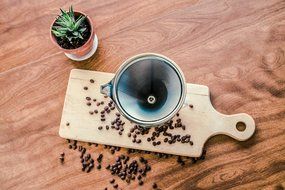 Dottie Lou Pour Over Coffe Dripper - Stainless Steel Paperless Filter - Metal Drip Coffee Brewer N4