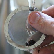 S Filter - The Original Mesh Filter for AeroPress - Built in the USA and Guaranteed for Life N7
