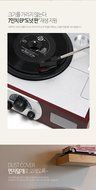 SKYDIGITAL Aria Pan FM Radio LP Turntable N2