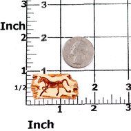 Horse Silicone Mold Make Your Own Western Chocolate, Fondant, Candy, Mints, Resin, Clay, Flexible and Easy to...