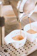 Gaggia 90901 Platinum Swing Up Automatic Espresso Machine with Milk Island