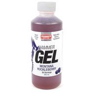 2013 Hammer Nutrition Complex Carbohydrate Energy Gel N9