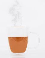 Summit Tea - Our Best Stainless Steel Tea Infuser and Double Walled 12 Oz Glass Tea Mug with a Tea Sample N2