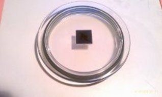 Original Nespresso Aeroccino Plus Lid with gasket for model #3192