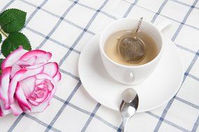 Tea Ball Infuser,ERZA SCARLET Stainless Steel Mesh Tea Ball,Perfect Strainer for Tea with Cozy Tea Time,Set of 2 N2
