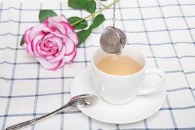 Tea Ball Infuser,ERZA SCARLET Stainless Steel Mesh Tea Ball,Perfect Strainer for Tea with Cozy Tea Time,Set of 2 N3