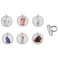 The Secret Life of Pets Dog Tags Cupcake Rings - Set of 12 N2