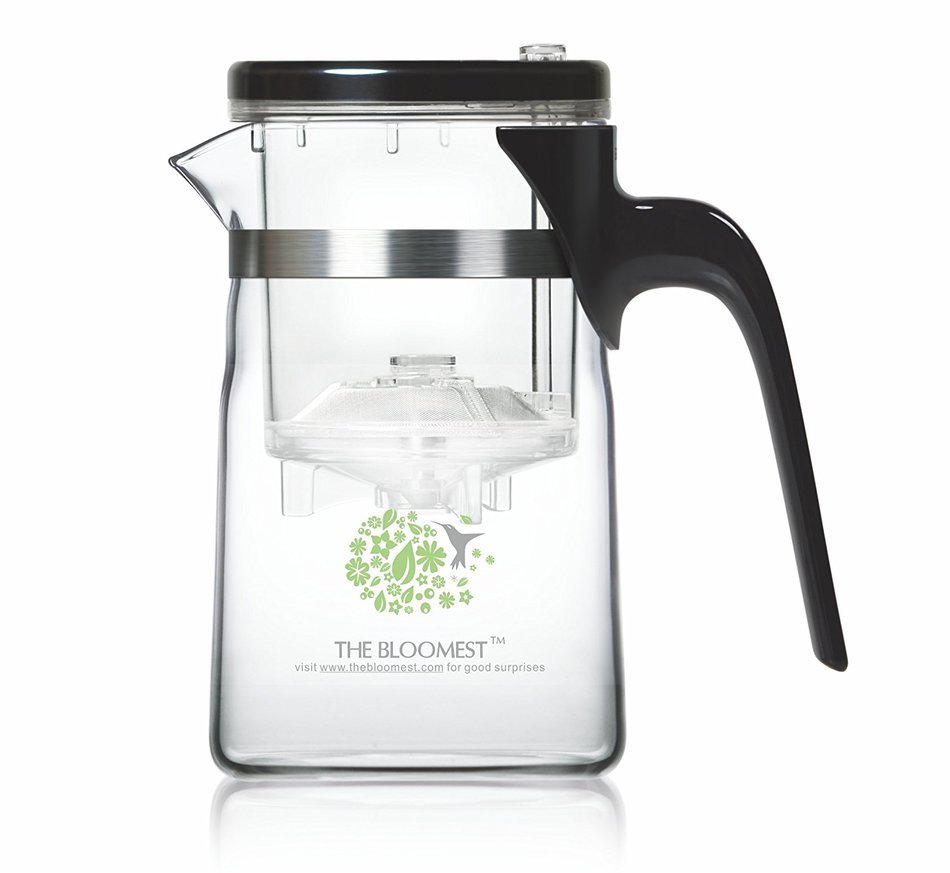 Heat Resistant Glass Tea Pot with Tea Infuser Strainer Filter (Denmark Design) -17oz (500ml) - Beautifully Packaged N2