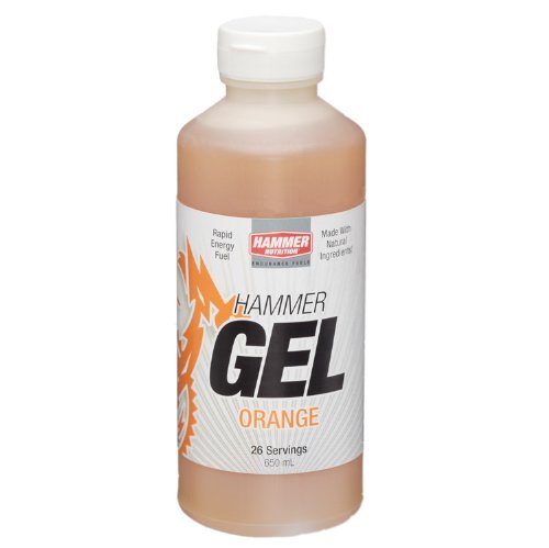 2013 Hammer Nutrition Complex Carbohydrate Energy Gel N3
