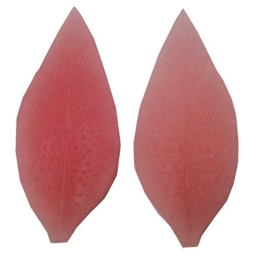 Oasis Supply 3D Lily Petal Veiner Mold, Silicone