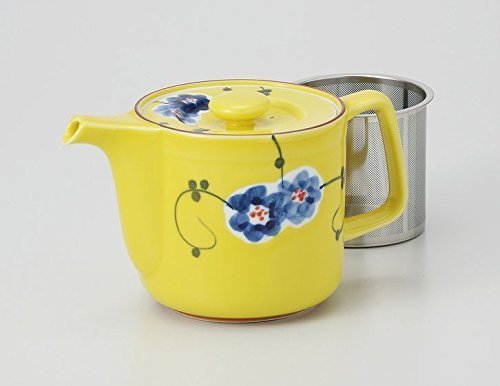 Saikai Pottery Two Flower pattern Pot type Kyusu Japanese Teapot with super stainless strainer from Japan 60164