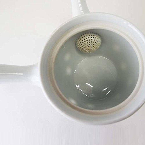 Saikai Pottery Modern taste dot pattern Japanese Teapot from Japan 62497 N4