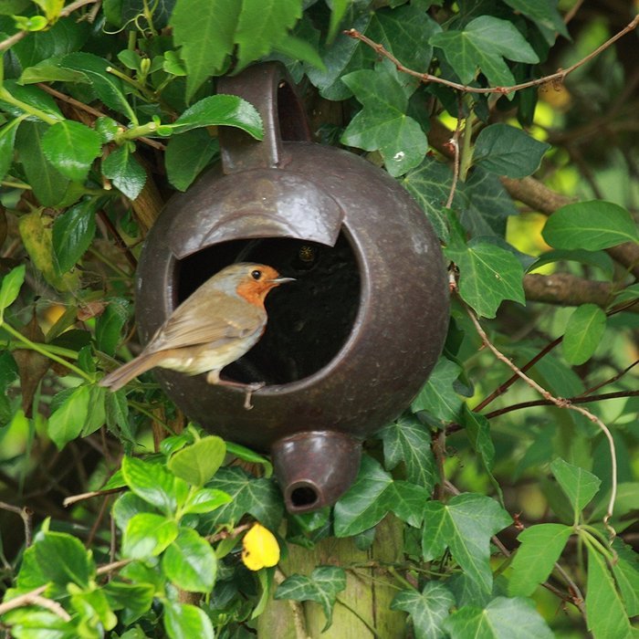 Robin Teapot Nester Fathers Day Dad Man Father Present N4