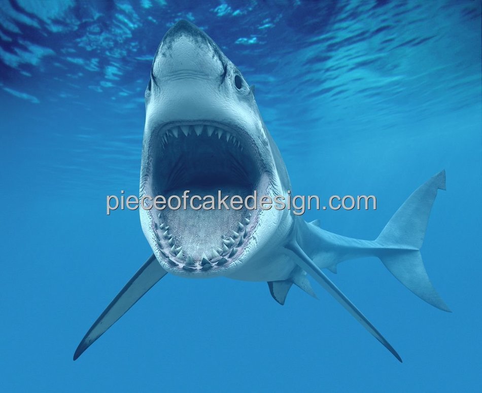 1/4 Sheet ~ Shark Attacking Birthday ~ Edible Image Cake/Cupcake Topper!!!