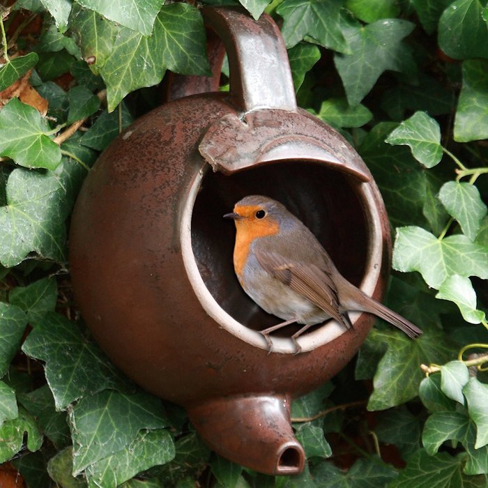 Robin Teapot Nester Fathers Day Dad Man Father Present N5